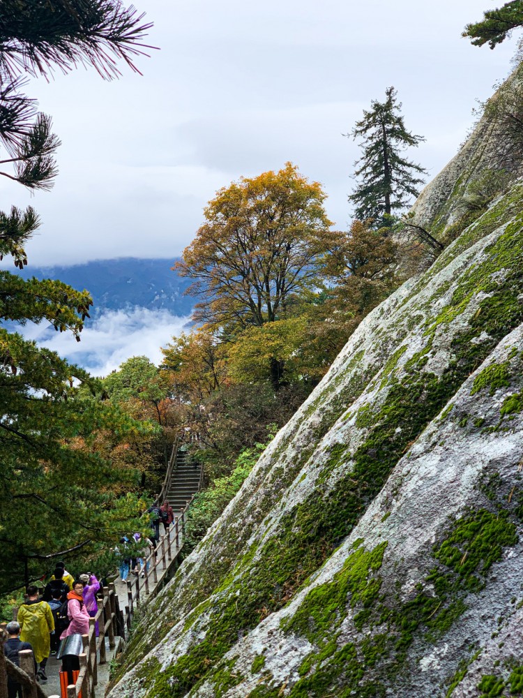 今日图集：全真圣地 西岳华山